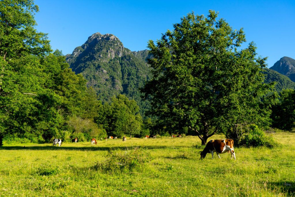 Pucón – krásné turistické město