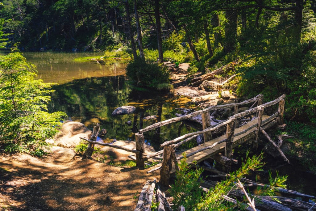 Trek Los Lagos v NP Hueurque