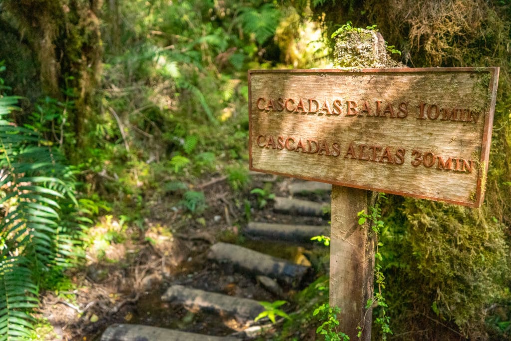 Národní park Pumalín - Sendero Cascada Esconida