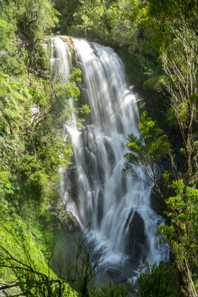 Národní park Pumalín - Sendero Cascada Esconida