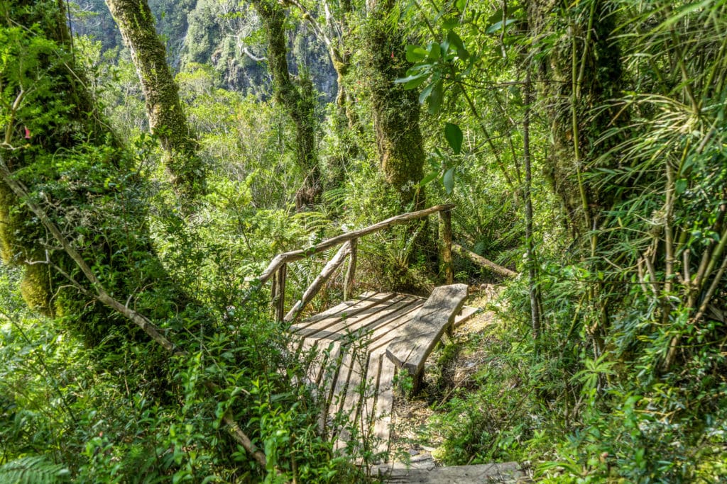 Národní park Pumalín - Sendero Tronador