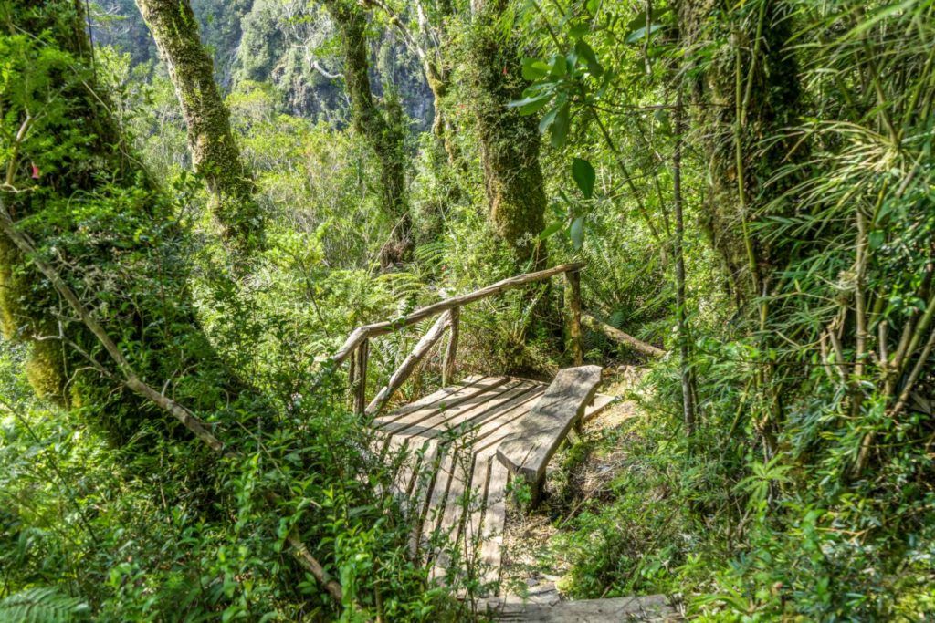 Sendero Laguna Tronador