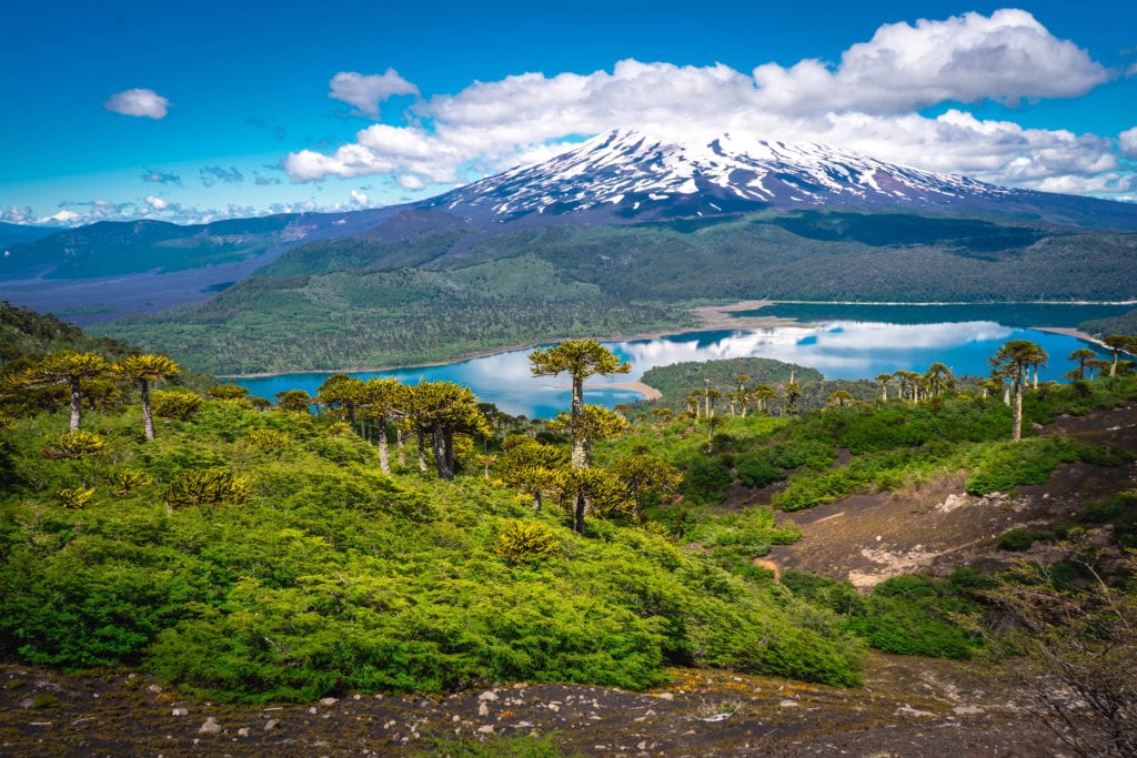 trek Sierra nevada v národním parku Conguillio