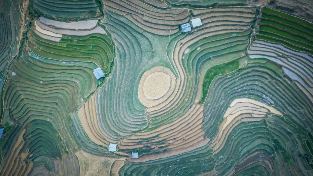 Rýžová pole v Severním Vietnamu