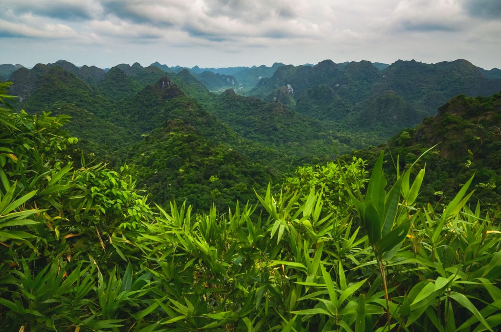 Cat Ba Nacional Park